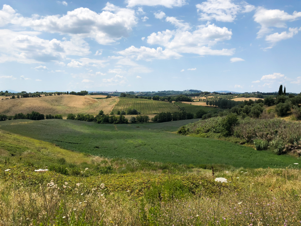 Fun fact 2 is a panoramic view of the countryside of Siena, Italy