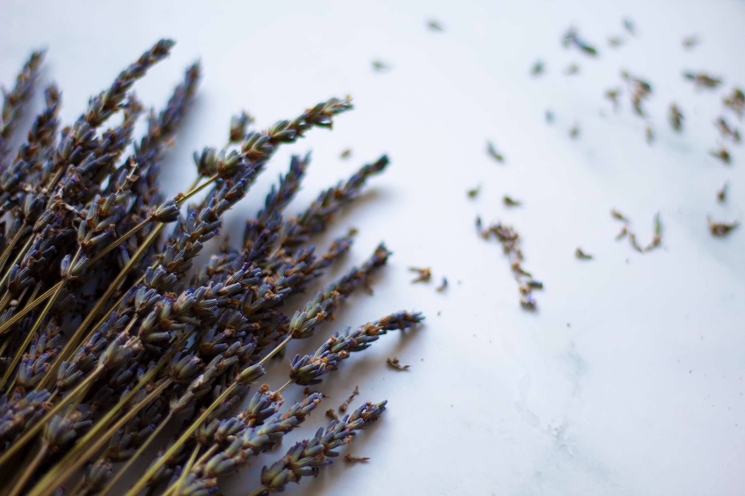 A bundle of lavender on a white marble counter.