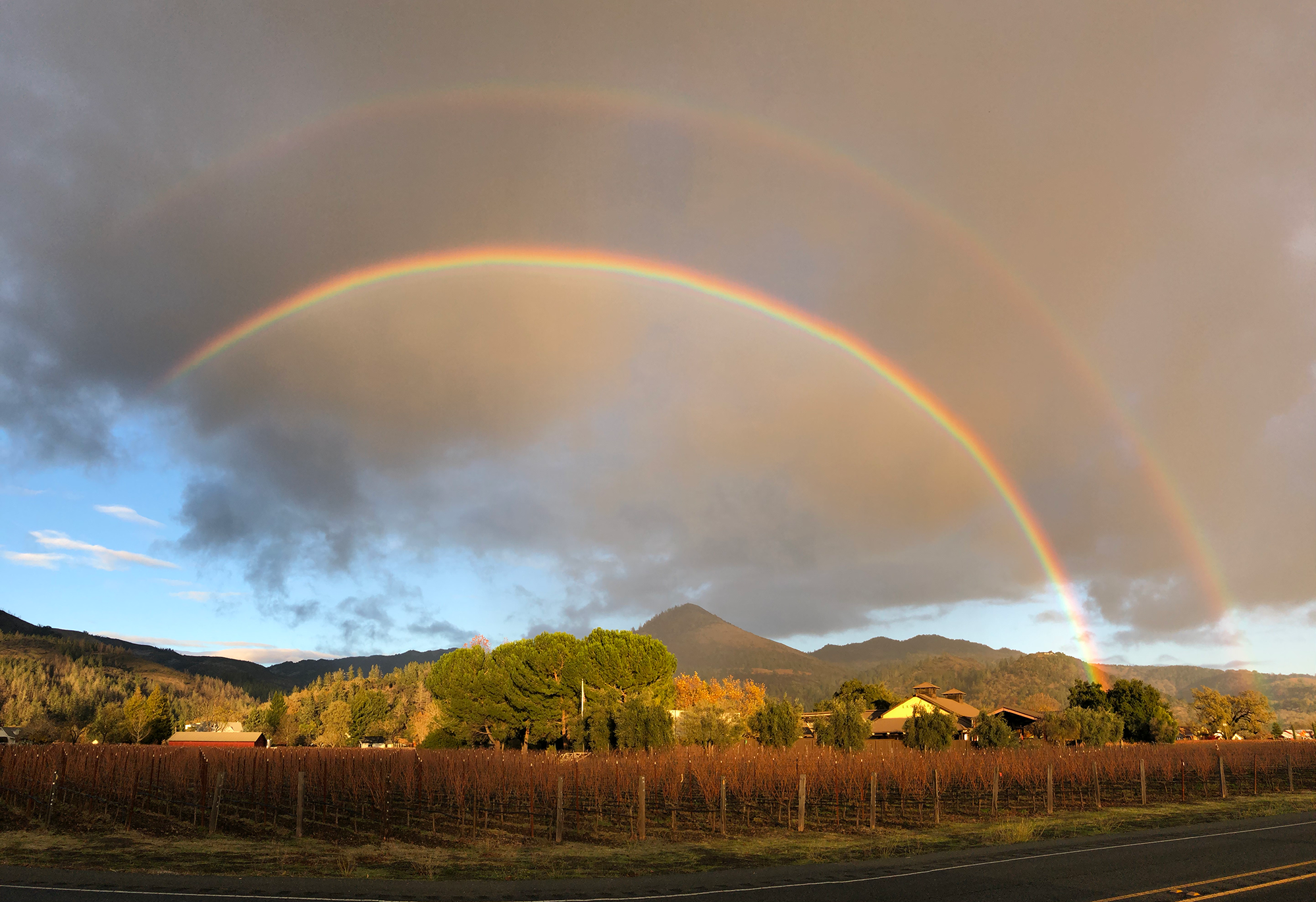 A double rainbow against a mountain with vineyards below, and beige and grey clouds.