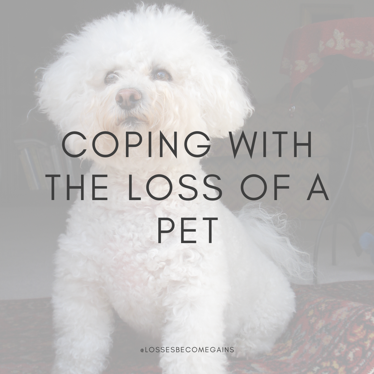 Coping with the loss of a pet by Losses Become Gains